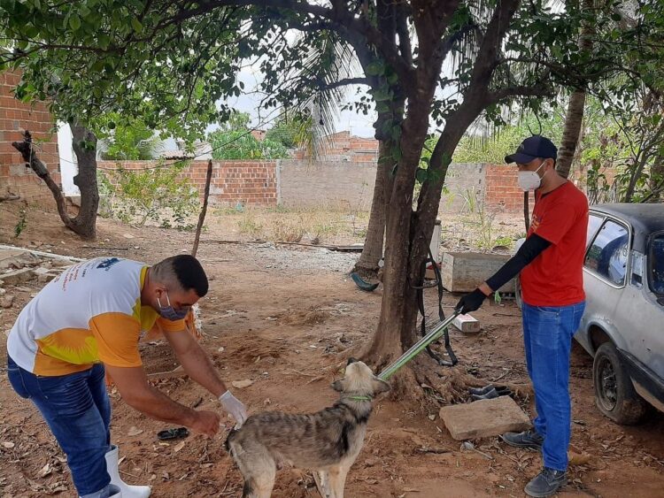 Foto: Reprodução.