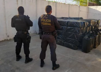 PF apreende cerca de 4 toneladas de cocaína em Areia Branca; droga estava em um galpão subterrâneo