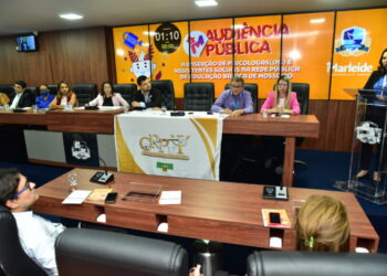 Audiência pública sobre inserção de psicólogos e assistentes sociais nas escolas / Foto: Edilberto Barros/CMM