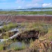 Sangria na parede da barragem de Pau dos Ferros, no Alto Oeste potiguar — Foto: Igor Jácome/g1