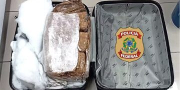 Jovem de 21 anos é preso com 8,5 kg de maconha no Aeroporto de Natal — Foto: Polícia Federal/Divulgação