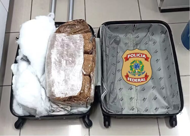 Jovem de 21 anos é preso com 8,5 kg de maconha no Aeroporto de Natal — Foto: Polícia Federal/Divulgação