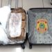 Jovem de 21 anos é preso com 8,5 kg de maconha no Aeroporto de Natal — Foto: Polícia Federal/Divulgação