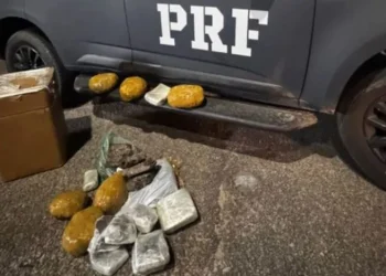 Perseguição na BR-101 termina em prisão e apreensão de 15 kg de maconha no RN