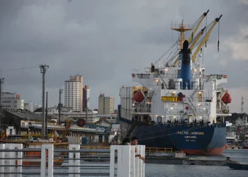 Economia Um mês após tarifaço, exportações do RN para os EUA caem 74%