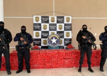 Suspeito foi preso ao retirar mais de 1 tonelada de maconha em transportadora de Parnamirim