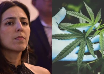 “Regulamentar a cannabis é um ato de amor e coragem”, diz Natália Bonavides