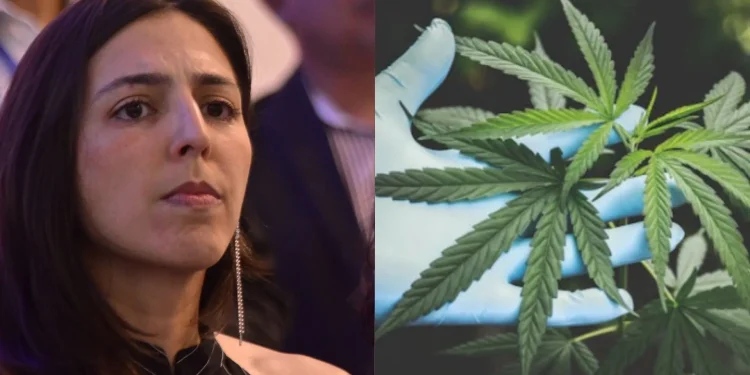 “Regulamentar a cannabis é um ato de amor e coragem”, diz Natália Bonavides