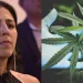 “Regulamentar a cannabis é um ato de amor e coragem”, diz Natália Bonavides
