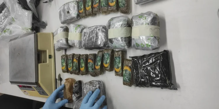 Polícia Federal apreende mais de 6 kg de drogas em fiscalização no Aeroporto de Natal