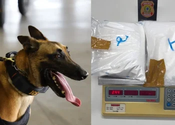 PF apreende 2,4 kg de cocaína em mala de passageiro alemão no Aeroporto de Natal