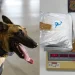 PF apreende 2,4 kg de cocaína em mala de passageiro alemão no Aeroporto de Natal