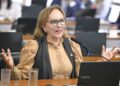 Zenaide vota por direitos do cuidador de pessoa com deficiência e por mais leis de assistência e cuidado
