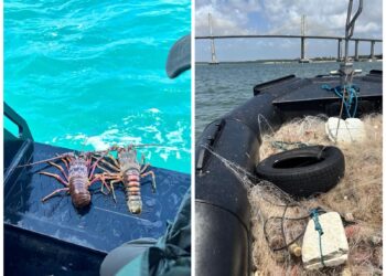 Operação apreende mais de 4 mil metros de redes usadas na pesca ilegal de lagosta no RN